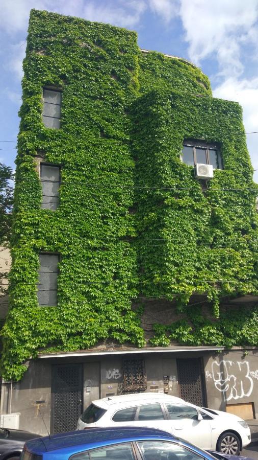 Central Green House Бухарест Екстер'єр фото